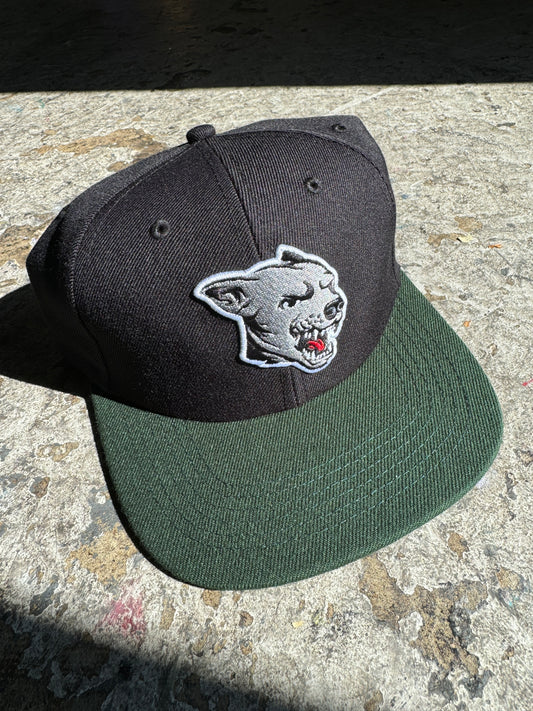 Dawg Snapback