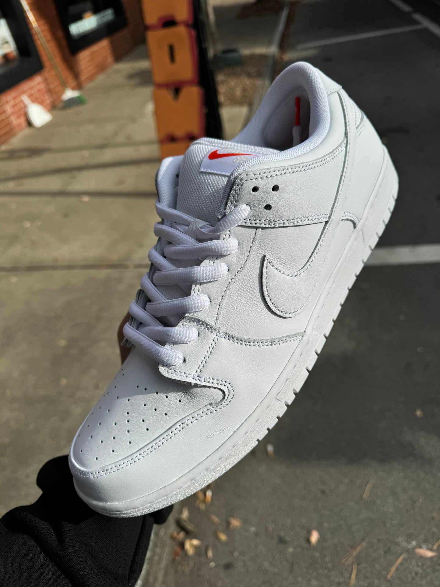 Dunk Low (White/White)